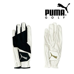 v[} St O[u Gg[ StO[u p Y PUMA Golf 042000 y[֔zz