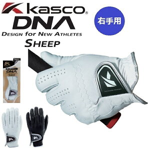 Ep LXR StO[u DNA SHEEP V[v Y teB rv  GF-2012R y[֔zz