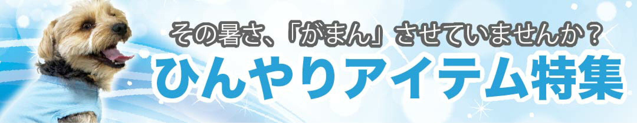 ひんやりアイテム特集