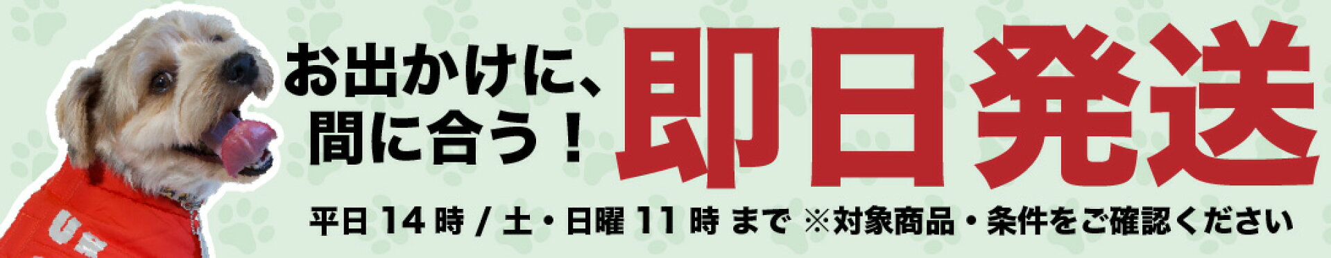 当日発送