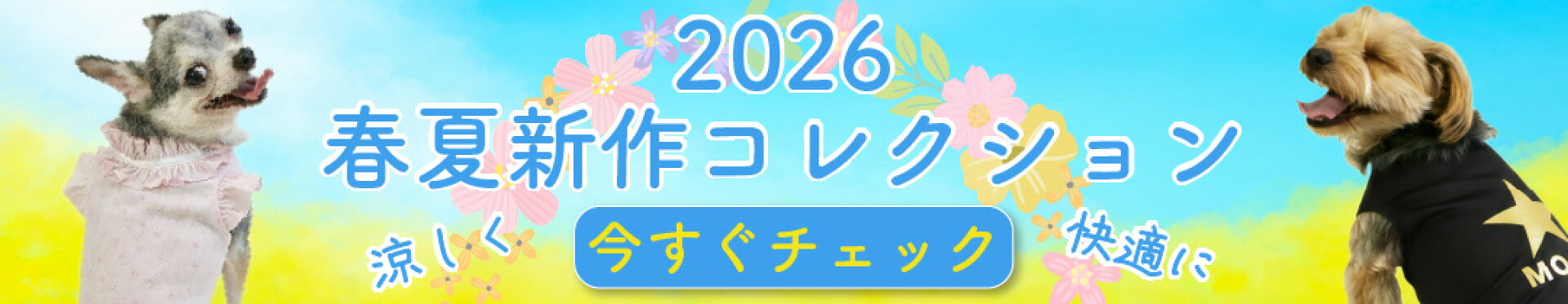 新作コレクション