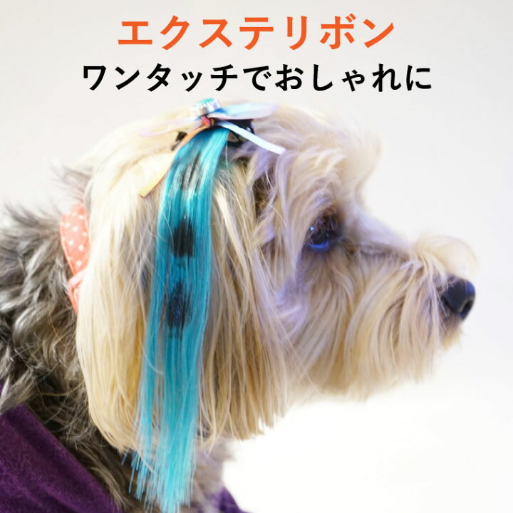 楽天市場 犬 エクステ エクステリボン 国産 小型犬 中型犬 大型犬 春 夏 秋 冬 おしゃれ おもしろ かわいい 可愛い 着せやすい セール ブランド 女の子 男の子 オス メス 犬服 Spiral Style 楽天市場店