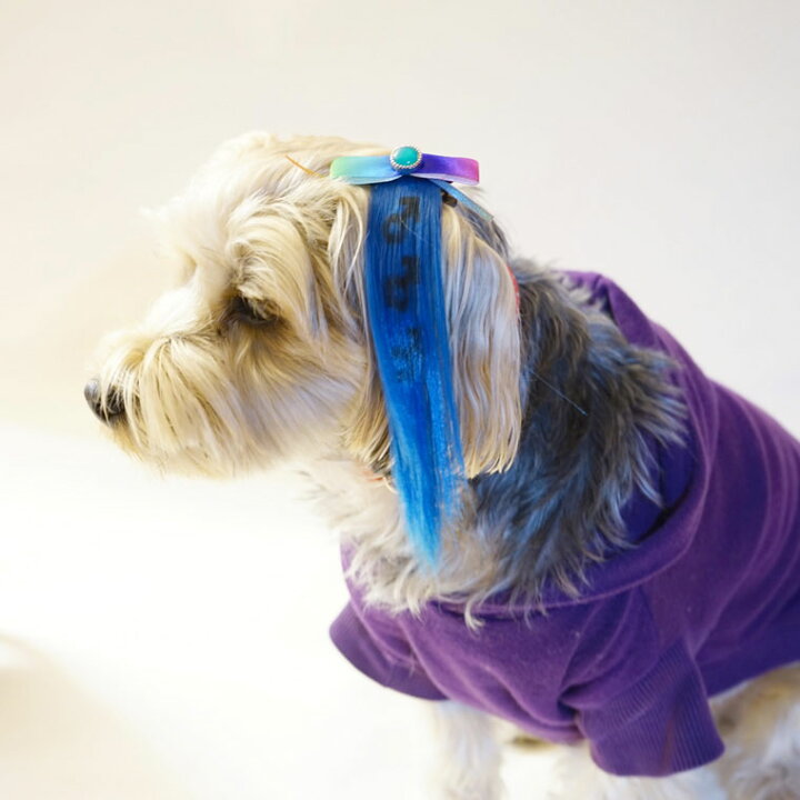 楽天市場 犬 エクステ エクステリボン 国産 小型犬 中型犬 大型犬 春 夏 秋 冬 おしゃれ おもしろ かわいい 可愛い 着せやすい セール ブランド 女の子 男の子 オス メス 犬服 Spiral Style 楽天市場店