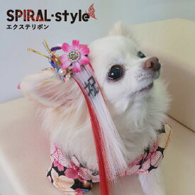 楽天市場 男の子 ヘアピン アクセサリー 小物 ドッグウェア 犬用品 ペット ペットグッズの通販