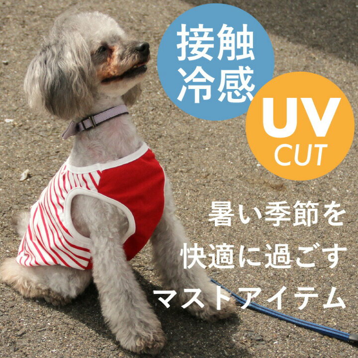 適切な価格 RIOSTUDIO リオスタジオ 犬用 無地タンクトップ S~11XLサイズ展開 メッシュ 接触冷感 ひんやり クール 反射機能 暑さ対策 犬 服 春 夏 小型犬 中型犬 大型犬 ③サーモンピンク 11XL glm.co.il 適切な価格 RIOSTUDIO リオスタジオ 犬用 無地タンクトップ S~11XLサイズ展開 メッシュ 接触冷感 ひんやり クール 反射機能 暑さ対策 犬 服 春 夏 小型犬 中型犬 大型犬 ③サーモンピンク 11XL glm.co.il
