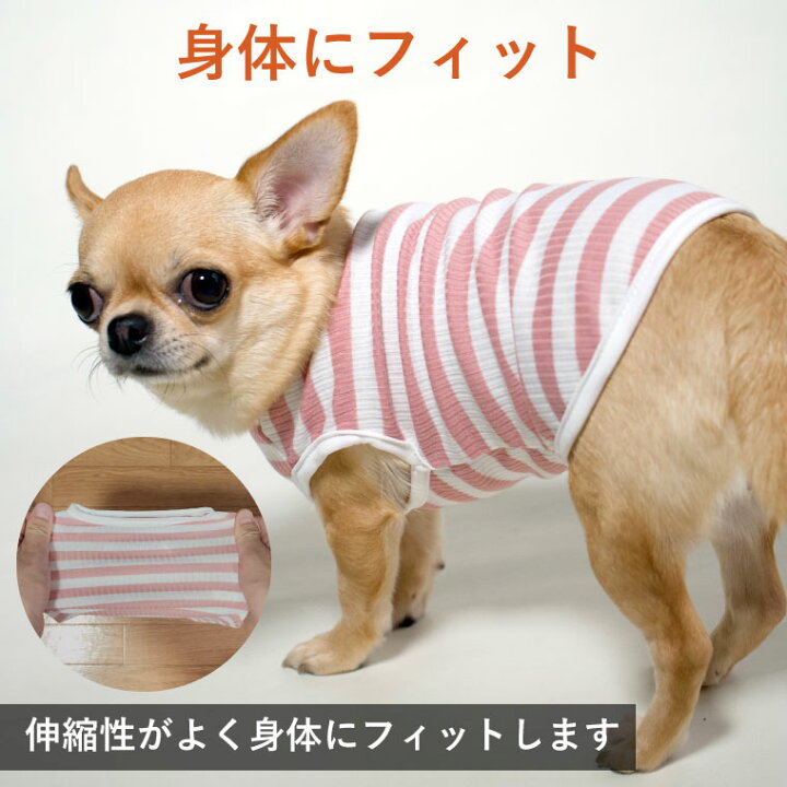 楽天市場】犬 服 犬服 犬の服 いぬ ふく いぬの服 男の子 【ボーダー 