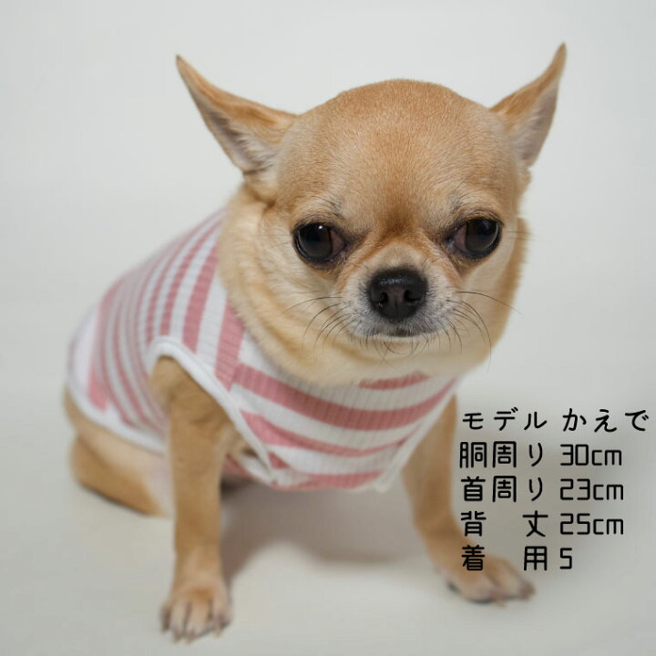 タイダイボーダーのタンクトップイタグレ服犬服ハンドメイド