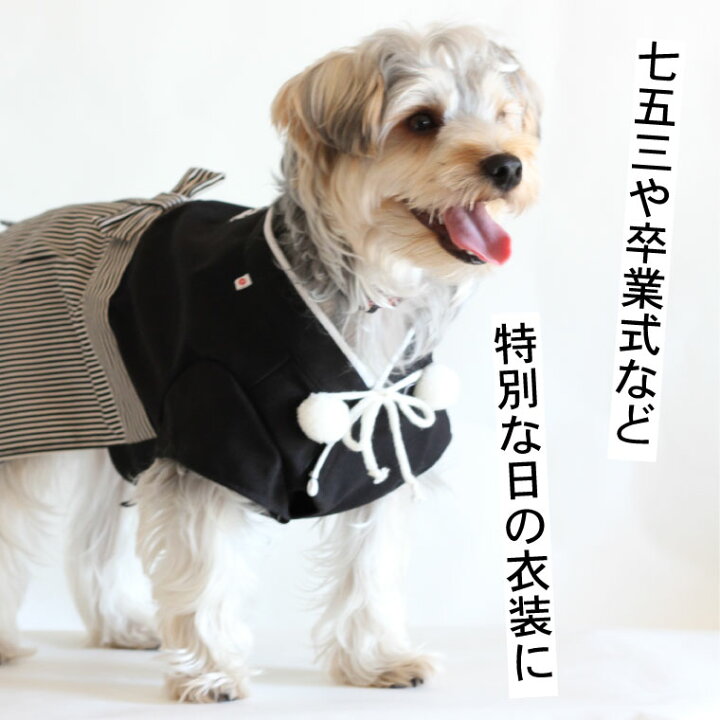 楽天市場 犬 着物 犬の服 袴 日本男児 七五三 や 卒業式 に最適 中型犬 大型犬 春 春服 夏 夏用 夏服 春夏秋 秋服 冬 冬用 冬服 秋冬 おしゃれ おもしろ かわいい 可愛い 着せやすい セール ブランド 女の子 男の子 オス メス