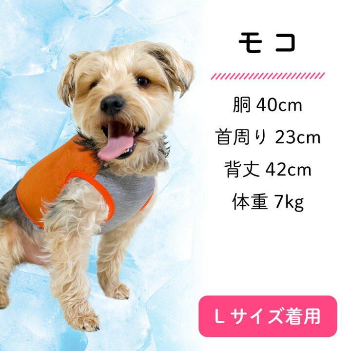 10 Offクーポン 最大p42倍 犬 中型犬 おしゃれ おもしろ Ice 春 夏用 小型犬 夏 クーリングベスト用保冷剤 春夏 Hold かわいい クール 夏服 2個セット
