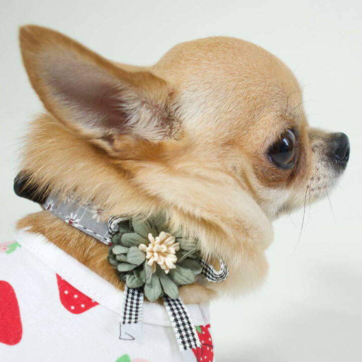 犬 ハーネス いぬ おしゃれ おもしろ かわいい オス セール ブランド メス リード 中型犬 付き 千鳥格子ハーネス 可愛い 女の子 小型犬 抜けにくい 服 犬の服 犬服 男の子 着せやすい 簡単装着 新作からsaleアイテム等お得な商品満載 服 犬 ハーネス いぬ おしゃれ おもしろ かわいい オス セール ブランド メス リード 中型犬 付き 千鳥格子ハーネス 可愛い 女の子 小型犬 抜けにくい 服 犬の服 犬服 男の子 着せやすい 簡単装着 新作からsaleアイテム等お得な商品満載 服