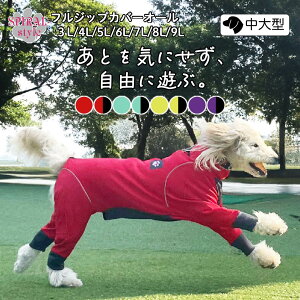 tWbv Jo[I[ j̎q⏗̎qy߂錢̕ ₷dlłȂ킢ꖇ ^^̂߂ɍꂽybg tĂH~Ɏg邨fUC Z[