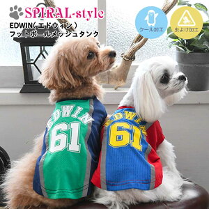   EDWIN tbg{[ bV ^N  N[ j̎q⏗̎qy߂錢̕ ^⒆^ɍ킹TCỸybg tĂɉf邨낢fUC ɌĂ