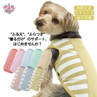 犬 服 背中開き ウェルネスウェアタンク 男の子や女の子におすすめの犬の服 かわいい印象でおしゃれに着…