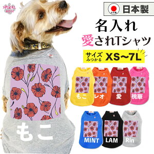 O}ց   ꍑYTVc p[vbh|s[ j̎q⏗̎qI΂錢̕ 킢fUCɒ₷ ^⒆^A^ɑΉy