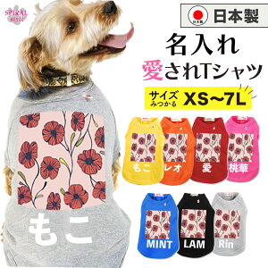 O}ց   ꍑYTVc sNbh|s[ ꂳƂ킢͋C₷ j̎q⏗̎qɐlČ̕ ^⒆^A^gTCY