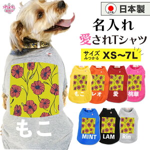   O ꍑYTVc CG[bh|s[ ɌĂ킢₷fUC ^⒆^A^ɑΉybg j̎q⏗̎qɐlČ̕ t