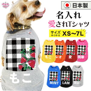 O}ց   ꍑYTVc `FbN tĂH~ɑI΂邨낢 ^⒆^A^Ɍp̃ybg j̎q⏗̎qɎ̕ 