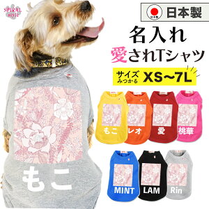   O ꍑYTVc zCgsNt[ ^⒆^A^gTCỸybg tĂH~􂷂邨Ȉꖇ j̎q⏗̎qɎ̕ 