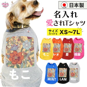 O}ց   ꍑYTVc IWJ[t[ j̎q⏗̎qɐlČ̕ tĂH~܂ŉf邨낢 ^⒆^A^gTCỸy