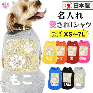 O}ց   ꍑYTVc CG[zCgt[ ^⒆^A^ɑΉybg j̎q⏗̎qy߂錢̕ tĂH~܂ŉf邨