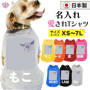 O}ց   ꍑYTVc O[|Cgt[ ^⒆^A^gTCỸybg ɌĂ킢₷fUC j̎q⏗