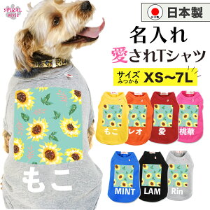 O}ց   ꍑYTVc Ђ܂2O[ tĂH~􂷂邨Ȉꖇ 킢fUCɒ₷ ^⒆^A^ɑΉyb