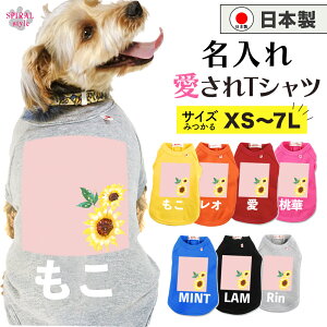   ꍑYTVc Ђ܂1sN j̎q⏗̎qɎ̕ tĂH~܂ŉf邨낢 ^⒆^A^gTCỸybg 킢ۂł