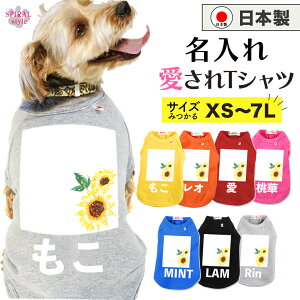   O ꍑYTVc XNGAT tĂH~􂷂邨Ȉꖇ 킢fUCɒ₷ ^⒆^A^Ɍp̃ybg j̎q