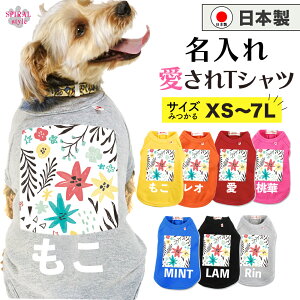 O}ց   ꍑYTVc t[7zCg tĂH~ɑI΂邨낢 ^⒆^A^gTCỸybg j̎q⏗̎qɎ̕ 