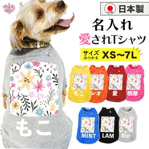 O}ց   ꍑYTVc t[5zCg j̎q⏗̎qɐlČ̕ tĂH~􂷂邨Ȉꖇ ^⒆^A^Ɍp̃ybg 