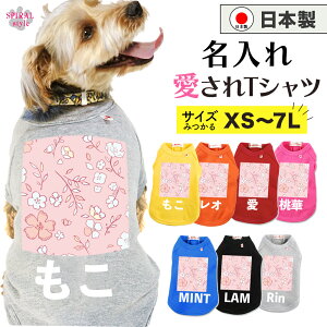   ꍑYTVc t[3sN ^⒆^A^ɑΉybg j̎q⏗̎qɎ̕ tĂH~܂ŉf邨낢 킢ۂłɒ