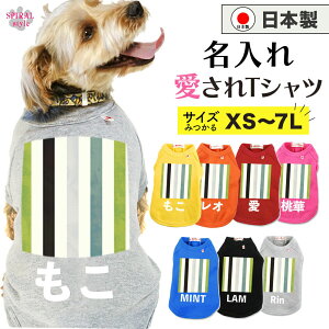 O}ց   ꍑYTVc XgCvzCgO[ ₷dlłȂ킢ꖇ tĂH~􂷂邨Ȉꖇ ^⒆^A^ɑI