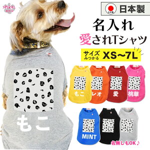 O}ց   ꍑYTVc Ip[hO[ ɌĂ킢₷fUC ^⒆^A^gTCỸybg tĂƏH~ʂ邨