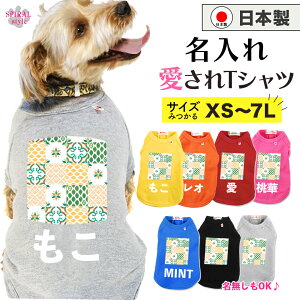 O}ց   ꍑYTVc 􉽊w3O[ ^⒆^A^ɑI΂Ԃ̃ybg tĂH~Ɏg邨fUC ꂳƂ킢͋C