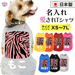 O}ց   ꍑYTVc sN[u ^⒆^A^gTCỸybg j̎q⏗̎qɎ̕ tĂH~􂷂邨Ȉꖇ 