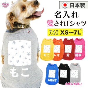   O ꍑYTVc X^[1O[ ^⒆^A^ɑI΂Ԃ̃ybg j̎q⏗̎qɎ̕ ꂳƂ킢͋C₷ tĂH~