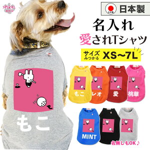 O}ց   ꍑYTVc ETS1sN ^⒆^A^̂߂ɍꂽybg ꂳƂ킢͋C₷ tĂH~܂ŉf邨