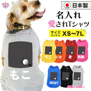   O ꍑYTVc S3O[ tĂH~ɑI΂邨낢 j̎q⏗̎qɂ߂̌̕ ^⒆^A^ɑI΂Ԃ̃ybg 킢fU