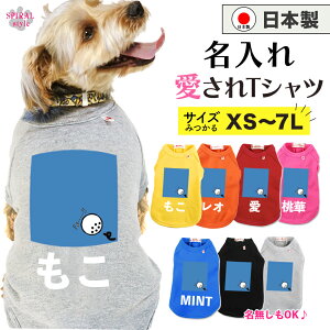 O}ց   ꍑYTVc S3u[ tĂH~ɑI΂邨낢 킢fUCɒ₷ j̎q⏗̎qɂ߂̌̕ ^