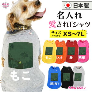 O}ց   ꍑYTVc t[10O[ ^⒆^A^ɑΉybg j̎q⏗̎qy߂錢̕ 킢ۂłɒ₷ t