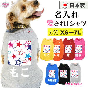   O ꍑYTVc X^[2bh j̎q⏗̎qI΂錢̕ 킢ۂłɒ₷ ^⒆^A^gTCỸybg tĂH~