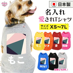 O}ց   ꍑYTVc 􉽊w4sNO[ tĂH~ɑI΂邨낢 킢fUCɒ₷ ^⒆^A^gTC