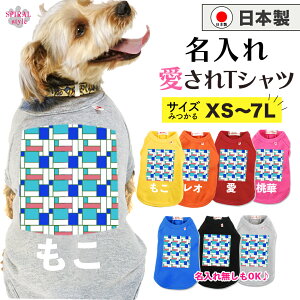   O ꍑYTVc XNGA ɌĂ킢₷fUC ^⒆^A^ɑΉybg tĂH~􂷂邨Ȉꖇ j̎q⏗