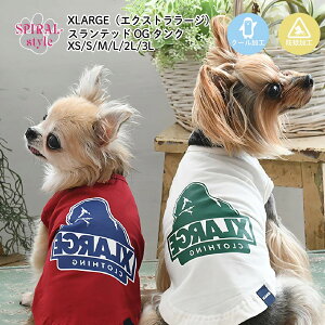   XLARGE XebhOG ^N ɌĂ킢₷fUC j̎q⏗̎qy߂錢̕ ^⒆^ɍ킹TCỸybg tĂʂ邨fUC