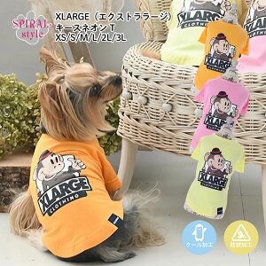 XLARGE L[XlI TVc ɌĂ킢₷fUC ^⒆^ɑΉԂ̃ybg tĂɑI΂邨낢ꖇ j̎q⏗̎qy߂錢̕ Z[