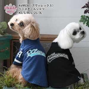   ̕ XLARGE GNXg[W x[X{[Vc ^ j̎q H~ ^  ̎q Z[ X 킢  X^C  yAbN ₷   I