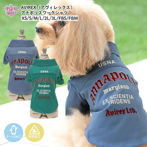   AVIREX ABbNX Ai|X[NVc N[  j̎q⏗̎qy߂錢̕ tĂʂ邨fUC̕ ꂳƂ킢͋C₷ ^