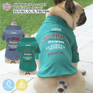   AVIREX ABbNX Ai|X[NVc N[  j̎q⏗̎qy߂錢̕ tĂʂ邨fUC̕ ꂳƂ킢͋C₷ ^