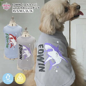ȃbVfނłUKyN[悯Hz   EDWIN GhEB V[NbV^N ^`^Ή j̎qA̎q̒₷Ȍ̕ tĂ̂