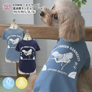   EDWIN GhEB ^`ETVc N[ H tĂɑI΂邨낢ꖇ 킢ۂłɒ₷ ^⒆^g₷TCỸybg j